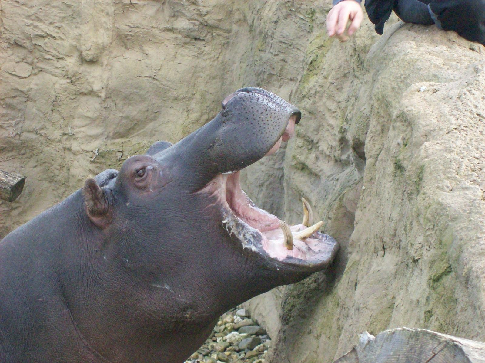 Zoom 18.10.2008-185.jpg